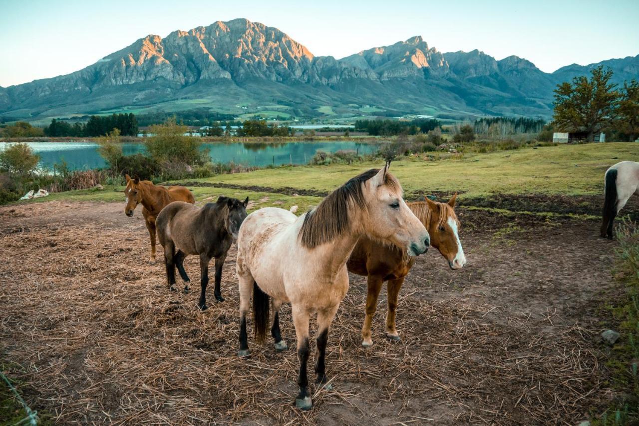Tulbagh Boutique Heritage Hotel Esterno foto